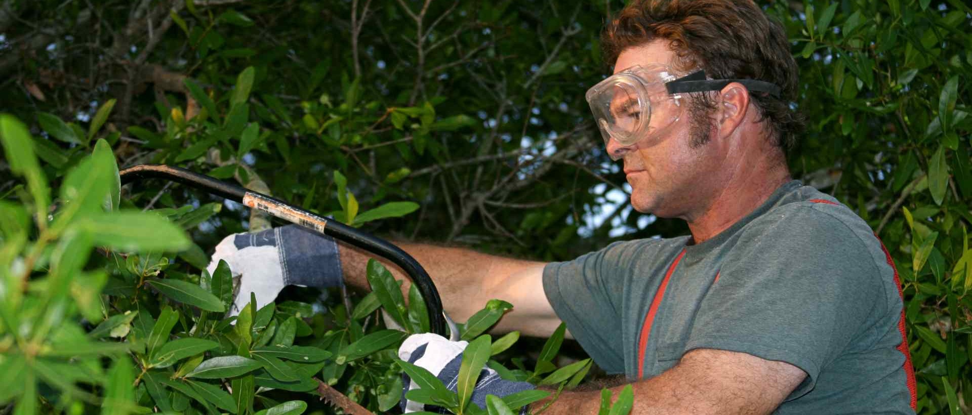 garden clearance SW16